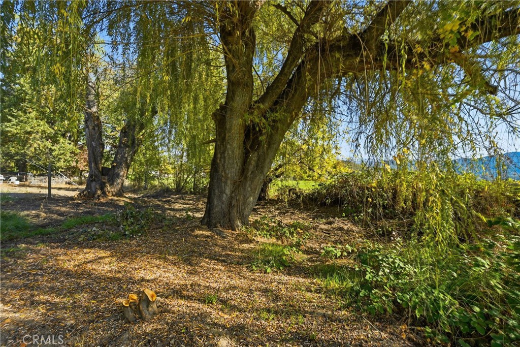 MLS #LC25253453 image #18