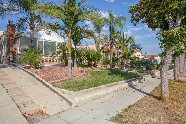 565 Olmsted Drive photo 5