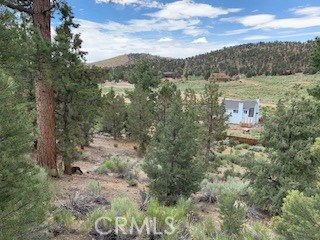 0 Ponderosa, Big Bear City, California 92314, ,Land,For Sale,0 Ponderosa,CROC20150732