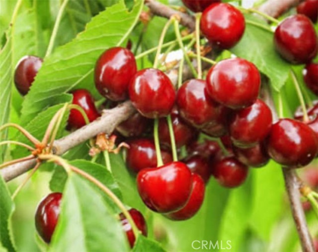 Detail Gallery Image 25 of 26 For 1441 Paso Real Ave #300,  Rowland Heights,  CA 91748 - 4 Beds | 3 Baths