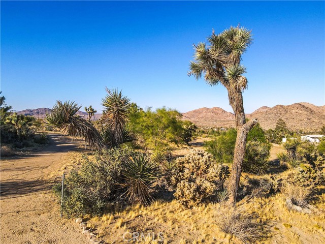 Detail Gallery Image 48 of 56 For 8672 via Rocosa Rd, Joshua Tree,  CA 92252 - 2 Beds | 3 Baths