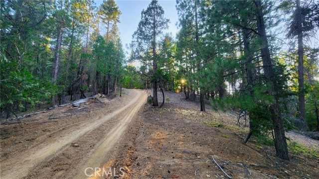 Detail Gallery Image 9 of 15 For 0 Mill Creek Road, Yreka,  CA 96097 - – Beds | – Baths