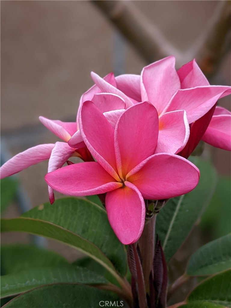 https://media.crmls.org/medias/0598684a-6487-4f44-b068-cabe74e03b11.jpg?preset=X-Large