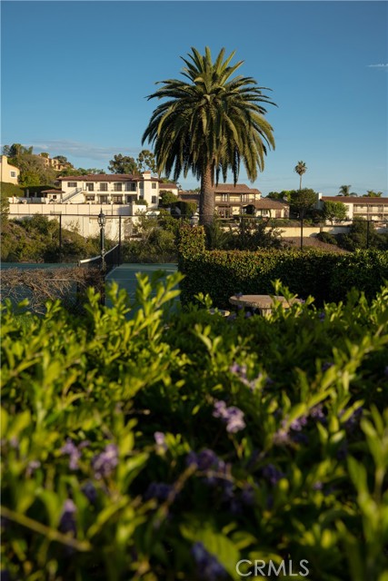 Detail Gallery Image 61 of 75 For 984 La Cresta Pl, Palos Verdes Estates,  CA 90274 - 6 Beds | 4 Baths