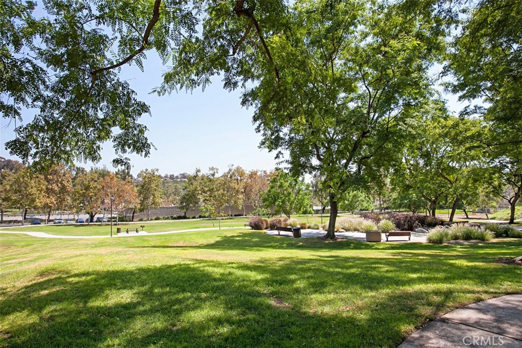 https://media.crmls.org/medias/05a054d5-b53f-448d-92d3-a28a0dd446db.jpg?preset=X-Large