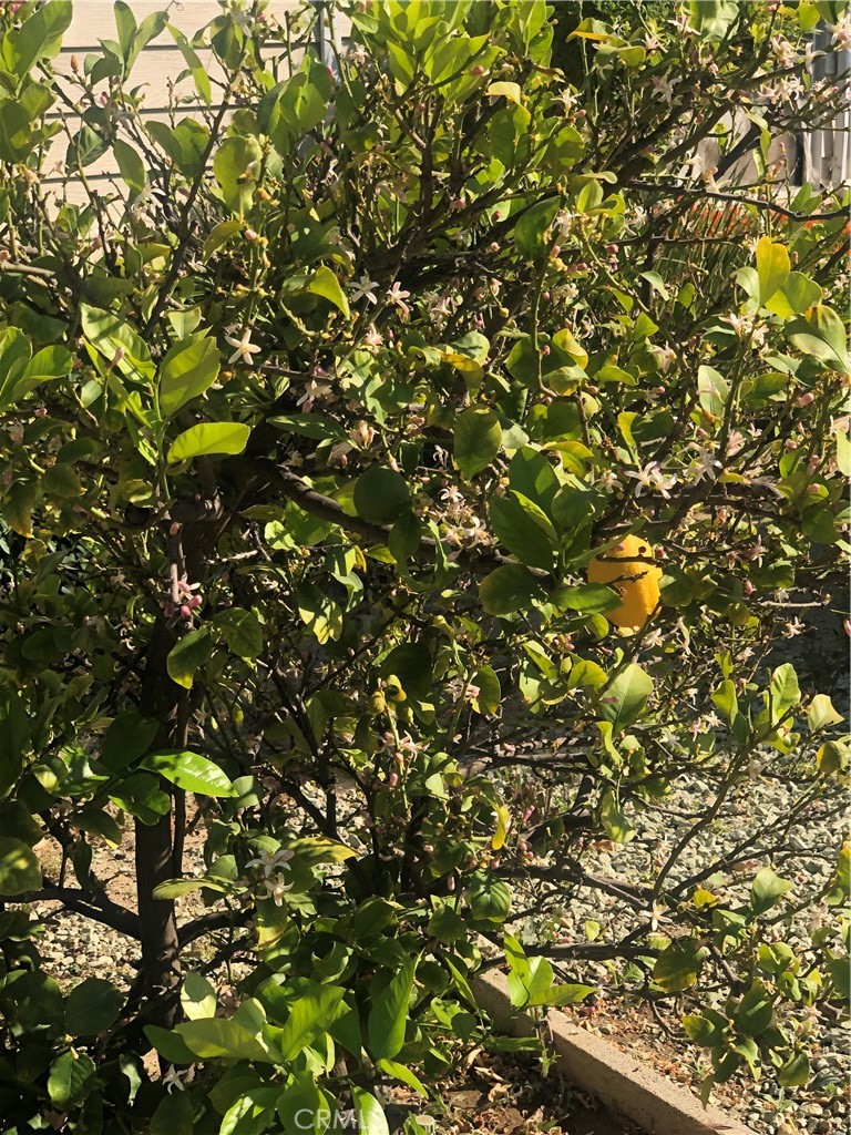 https://media.crmls.org/medias/05a32d7c-eeae-4a48-b8d0-73d275cf55df.jpg?preset=X-Large