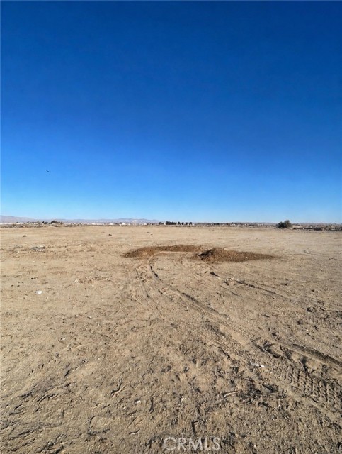 Front Image Thumbnail for CRSR26108569