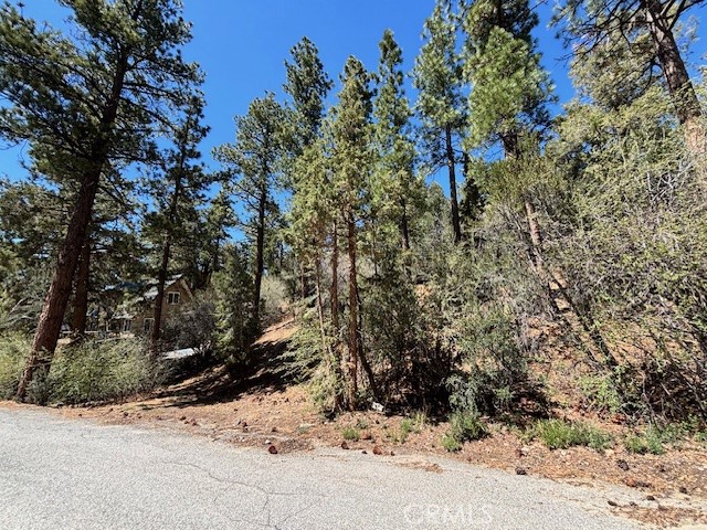 Detail Gallery Image 4 of 6 For 0 E Rainbow Bld, Big Bear City,  CA 92314 - – Beds | – Baths