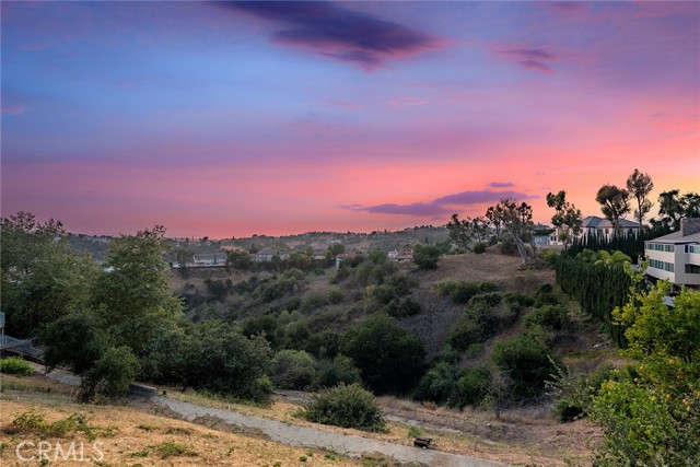 2591 Braided Mane Drive, Diamond Bar CA: https://media.crmls.org/medias/05b26fb0-6a80-4162-9448-5cccceaa5b7a.jpg