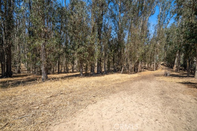 0 Albert Way, Arroyo Grande CA: https://media.crmls.org/medias/05b45d65-ba89-4899-a804-5e009336537c.jpg