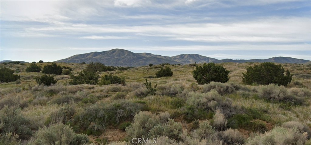 MLS #HD26191845 image #1
