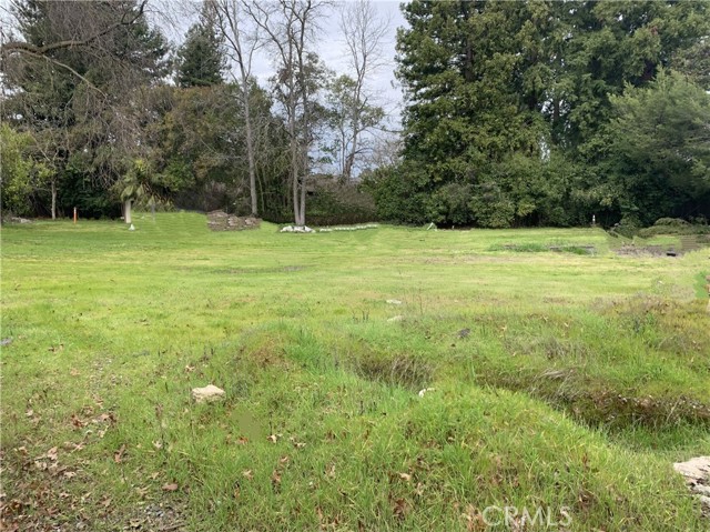 3252 Panama Avenue, Carmichael CA: https://media.crmls.org/medias/05b6dcc2-e396-4a41-80de-9236335e0bee.jpg