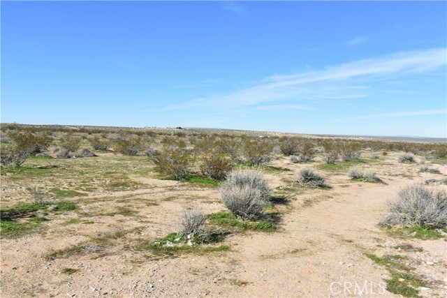 Detail Gallery Image 21 of 31 For 25 Frontier, Helendale,  CA 92342 - – Beds | – Baths