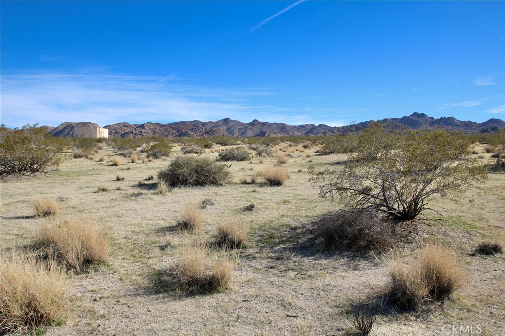 MLS #JT25063457 image #2