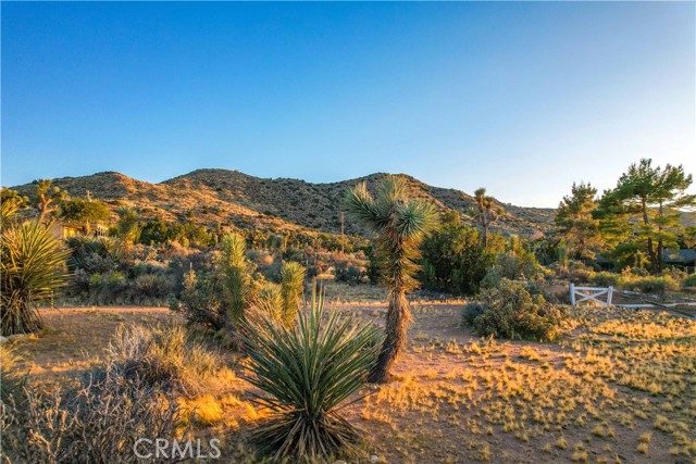 Detail Gallery Image 20 of 32 For 7985 Deer Trl, Yucca Valley,  CA 92284 - 2 Beds | 1 Baths