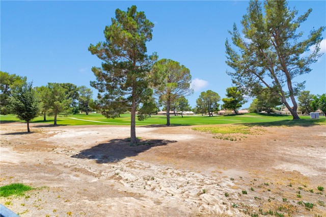 Detail Gallery Image 39 of 48 For 14927 Tournament Dr, Helendale,  CA 92342 - 3 Beds | 2 Baths