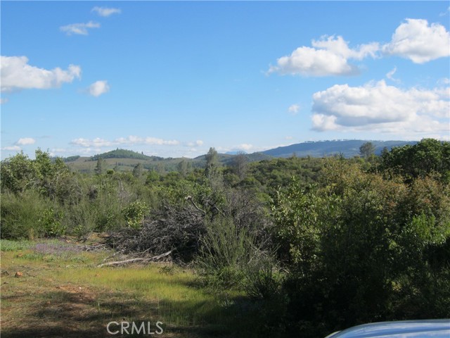 9070 S State Hwy 29, Lower Lake, CA 95457 Listing Photo  11