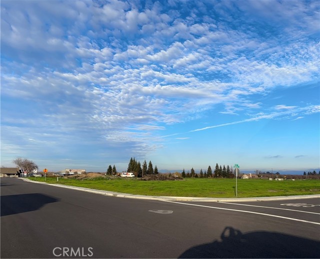 698 Hambright (Corner Hwy 32) Avenue, Orland CA: https://media.crmls.org/medias/05e07ad6-5267-4e47-8a9f-3bd33c077bea.jpg
