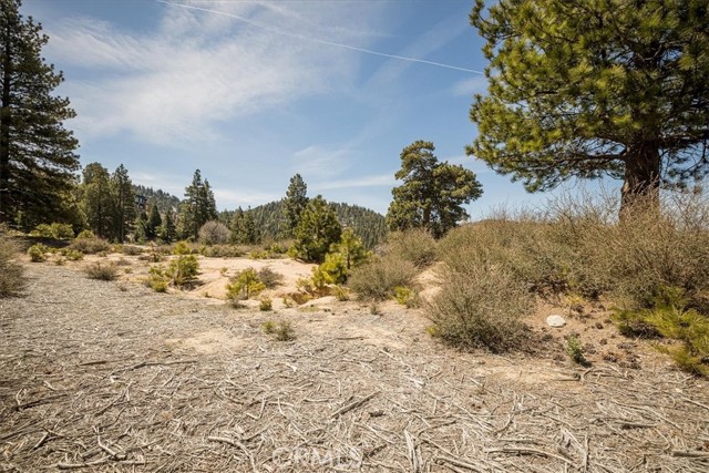 Detail Gallery Image 8 of 15 For 150 Mill Pond Rd, Lake Arrowhead,  CA 92352 - – Beds | – Baths