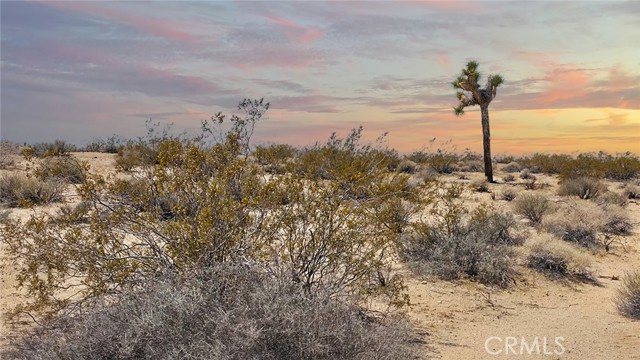 Detail Gallery Image 6 of 17 For 5678 La Brisa Dr, Joshua Tree,  CA 92252 - – Beds | – Baths