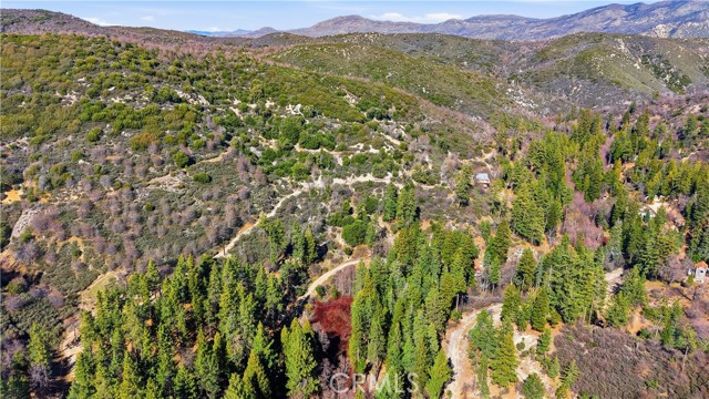 Detail Gallery Image 4 of 11 For 0 Little Bear Ck, Cedar Glen,  CA 92321 - – Beds | – Baths