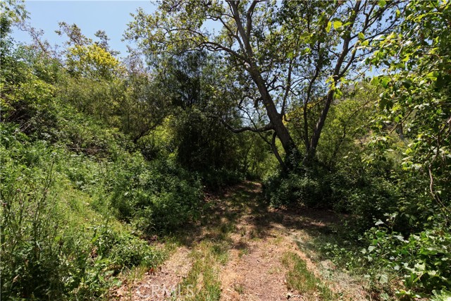 Detail Gallery Image 50 of 61 For 4651 Tepusquet Rd, Santa Maria,  CA 93454 - 3 Beds | 2 Baths