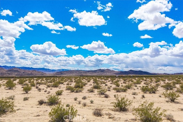 Detail Gallery Image 15 of 26 For 62 Lucille Ln, Joshua Tree,  CA 92252 - – Beds | – Baths