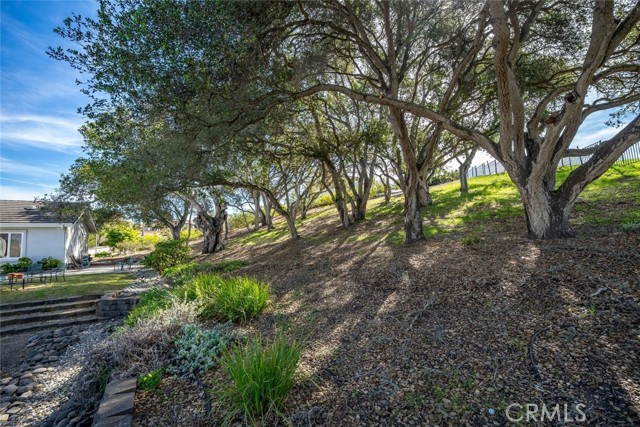 Detail Gallery Image 11 of 60 For 632 S via Belmonte Ct, Arroyo Grande,  CA 93420 - 3 Beds | 3 Baths