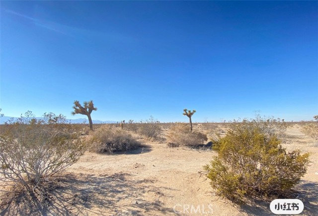 0 Cassia Road, Adelanto, California 92301, ,Land,For Sale,0 Cassia Road,CRAR23223483