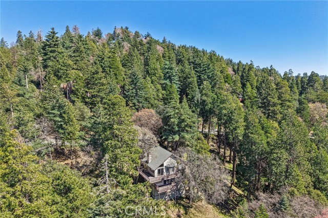 Detail Gallery Image 37 of 40 For 25274 North Rd, Twin Peaks,  CA 92391 - 3 Beds | 2/1 Baths