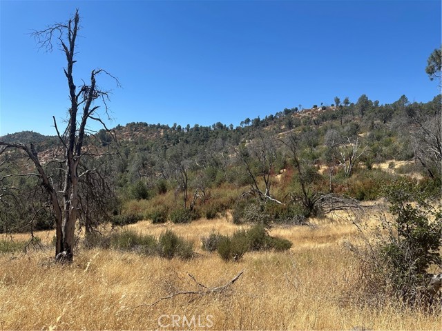 3896 B State Highway 140, Mariposa CA: https://media.crmls.org/medias/0613a878-826b-42d1-8243-5e9a4eab2a15.jpg