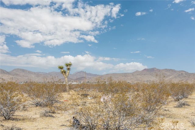 1234 Castillo Road, Landers CA: https://media.crmls.org/medias/061a7f9a-ca99-424c-9440-20b773a3e425.jpg