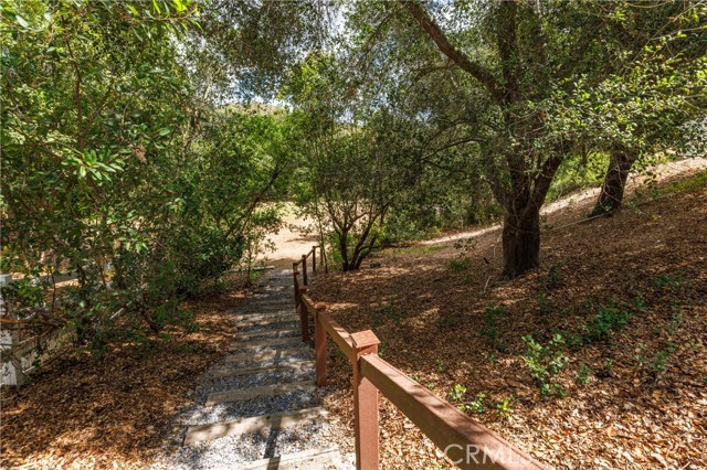 Image 51 of 70 For 8 Palomino  