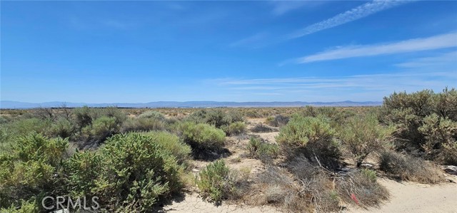 0 W Avenue E, Lancaster CA: https://media.crmls.org/medias/061e4e12-4e31-4678-bc6a-a126e32ac24b.jpg