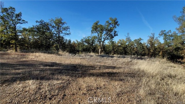 Detail Gallery Image 1 of 7 For 17435 Quail Ridge Rd, Cottonwood,  CA 96022 - – Beds | – Baths
