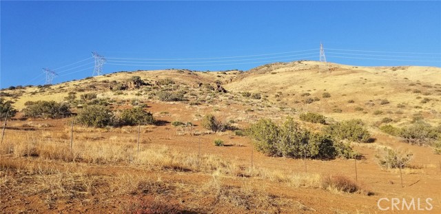 0 Rolandee Street, Acton CA: https://media.crmls.org/medias/0622394f-aca8-417a-9db0-c292db2586a2.jpg