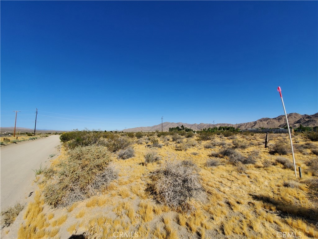 MLS #SB25114348 img 5