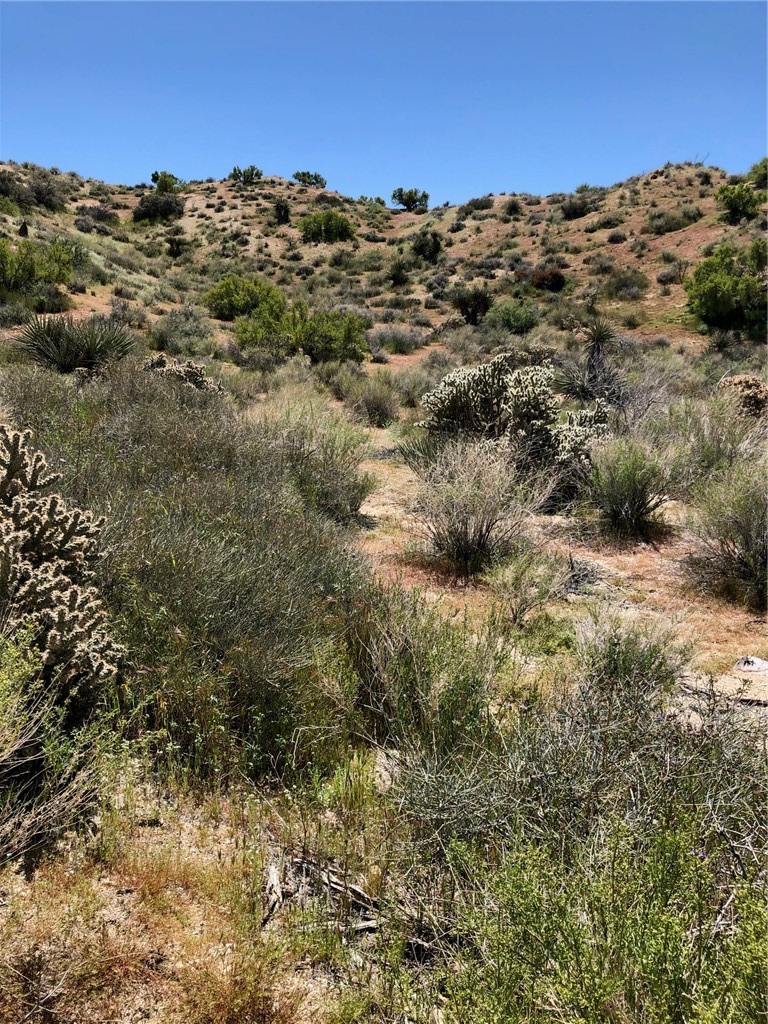 Detail Gallery Image 9 of 10 For 25 Acres  Apn# 0582081110000 / 0582081100000, Morongo Valley,  CA 92256 - – Beds | – Baths
