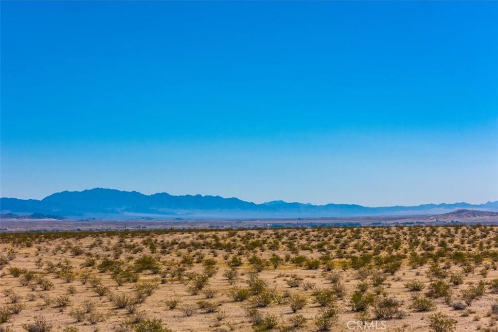 MLS #JT25225678 image #14