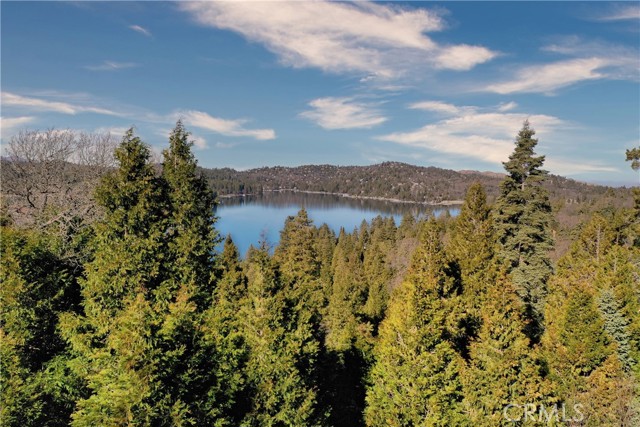 Detail Gallery Image 14 of 31 For 149 Mill Pond Rd, Lake Arrowhead,  CA 92352 - – Beds | – Baths