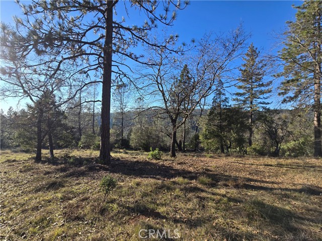 Detail Gallery Image 7 of 34 For 0 Double Eagle Way, Brownsville,  CA 95919 - – Beds | – Baths