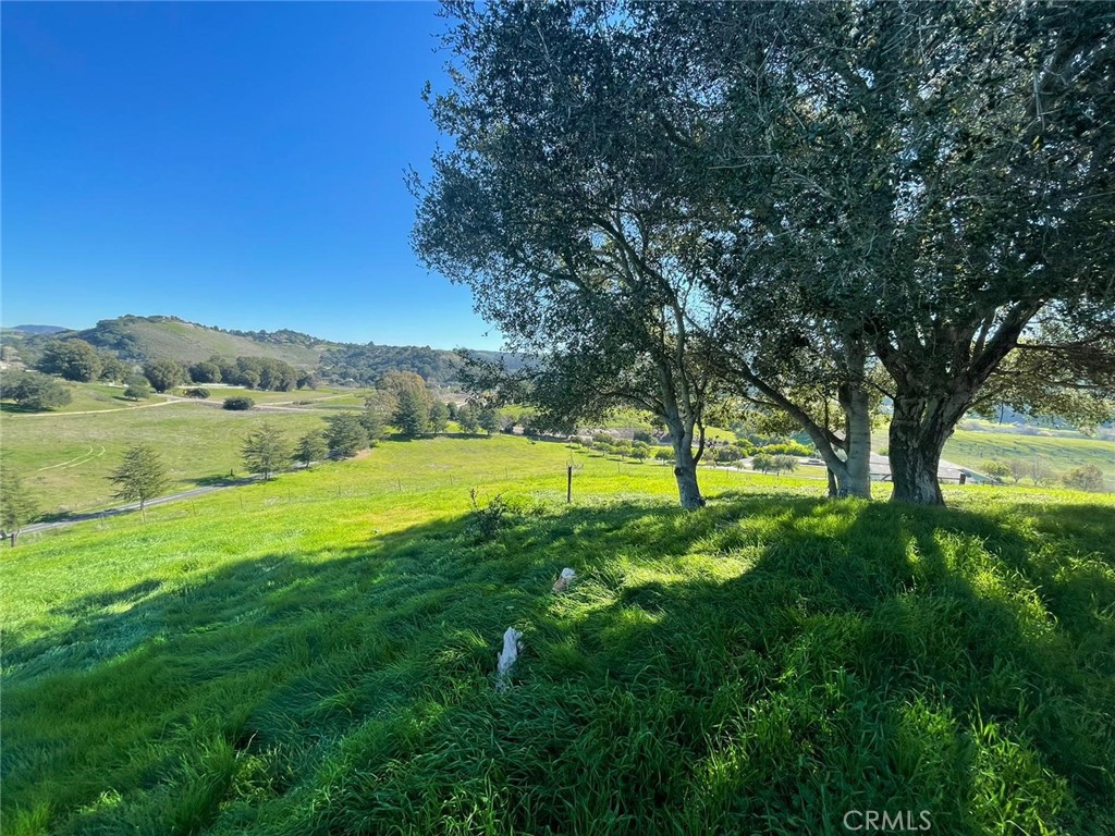 1195 Tiffany Ranch Road