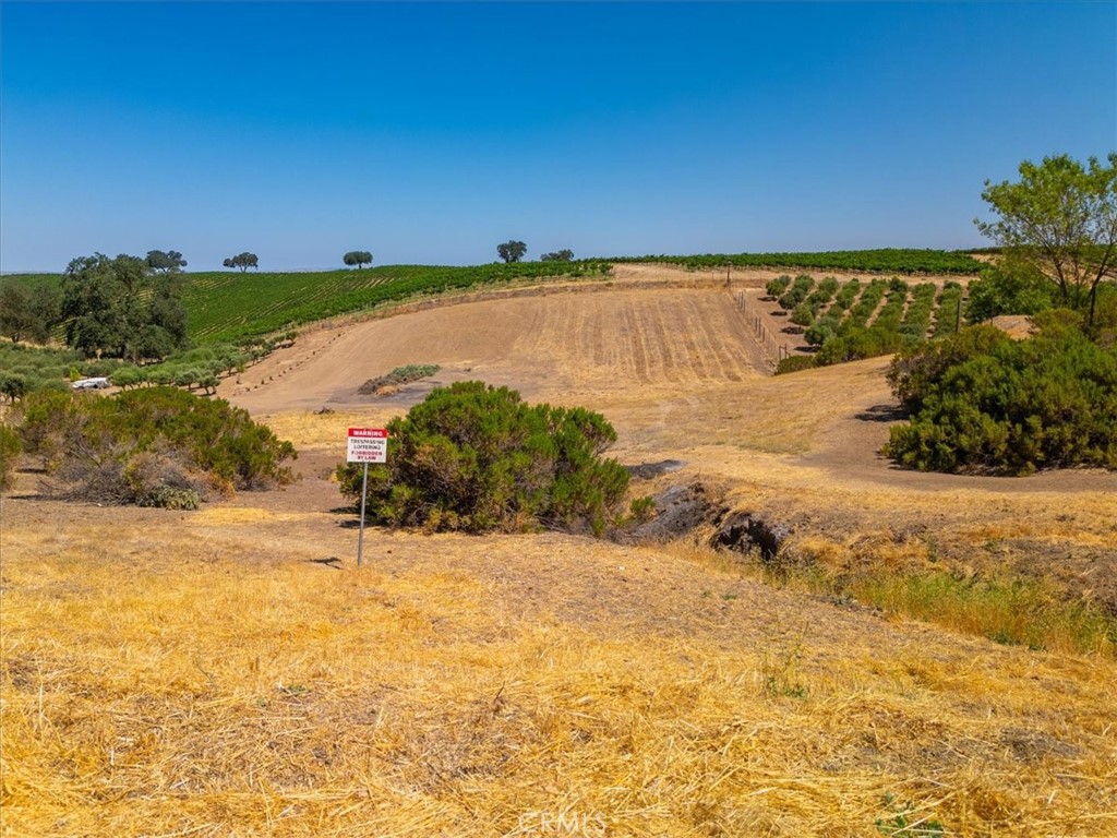 MLS #SC25164428 image #3