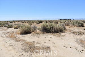 MLS #SR25156804 image #5