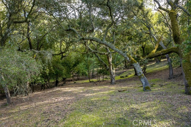 Detail Gallery Image 6 of 12 For 0 Lot 12 Morro Rd., Atascadero,  CA 93422 - – Beds | – Baths