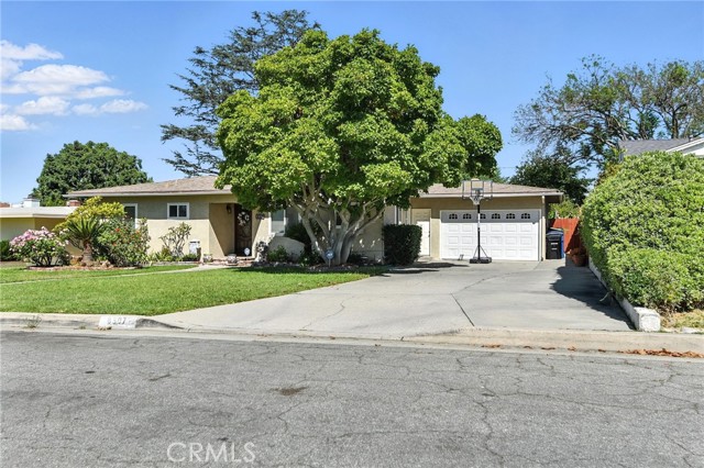 8507 Davista Drive, Whittier CA: https://media.crmls.org/medias/064ff26e-84c1-482c-b98f-a92e10810e11.jpg