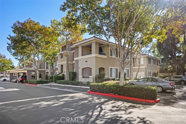 Front Image Thumbnail for CROC25265971