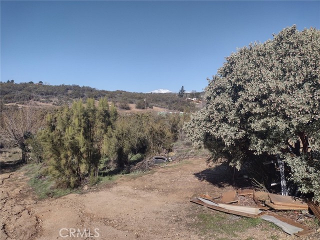 37400 Tripp Flat Road, Anza, California 92539, ,Land,For Sale,37400 Tripp Flat Road,CRSW23021079