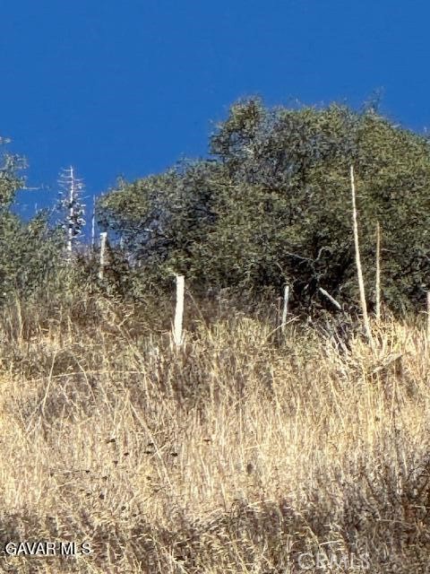 Detail Gallery Image 3 of 14 For 4700 Shannon View Rd, Acton,  CA 93510 - – Beds | – Baths