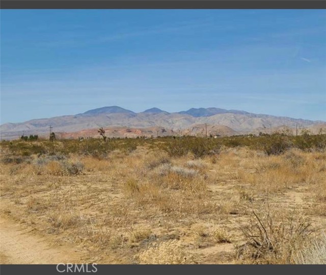 Detail Gallery Image 7 of 7 For 42 Nd W Mojave Tropico Rd, Rosamond,  CA 93560 - – Beds | – Baths